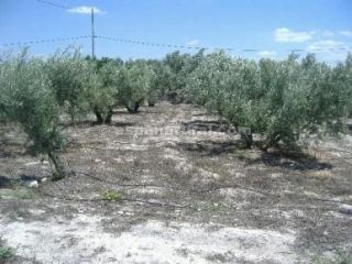 Property in Almeria