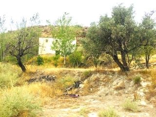 Property in Almeria